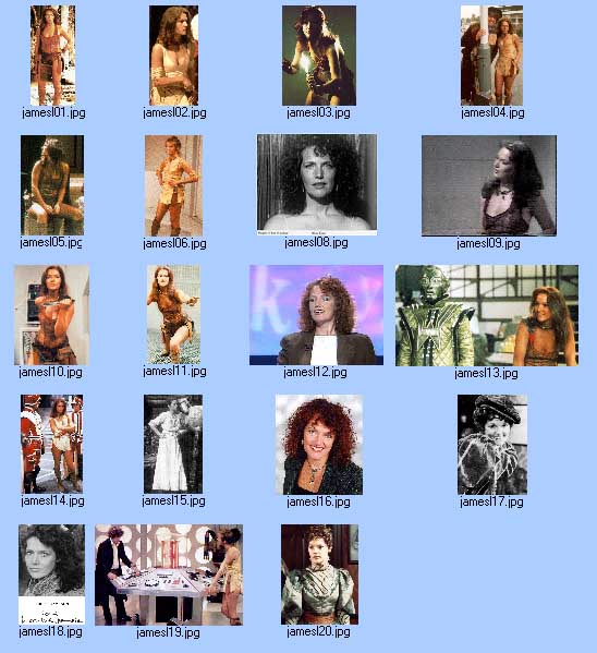 Louise Jameson - Gallery Colection