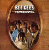 BEE GEES -
 Horizontal (1968) shill rating 7/10