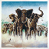 ELVIS
 COSTELLO AND THE ATTRACTIONS - Armed Forces (1979) shill rating 9/10