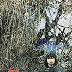 AL STEWART -
 Zero She Flies (1970) shill rating 7/10